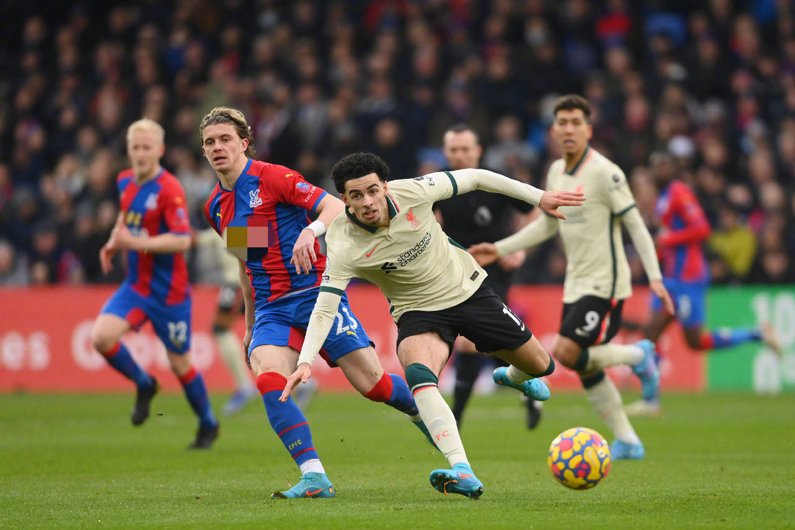 不仅能够最 不仅能够最