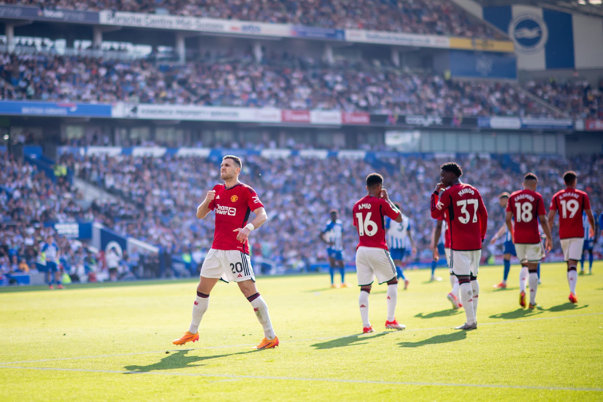 也不例外 也不例外